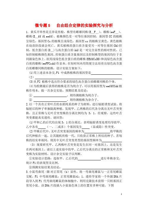 河南省雪枫中学高中生物同步培优资料微专题5自由组合定律的实验探究与分析新人教版必修2