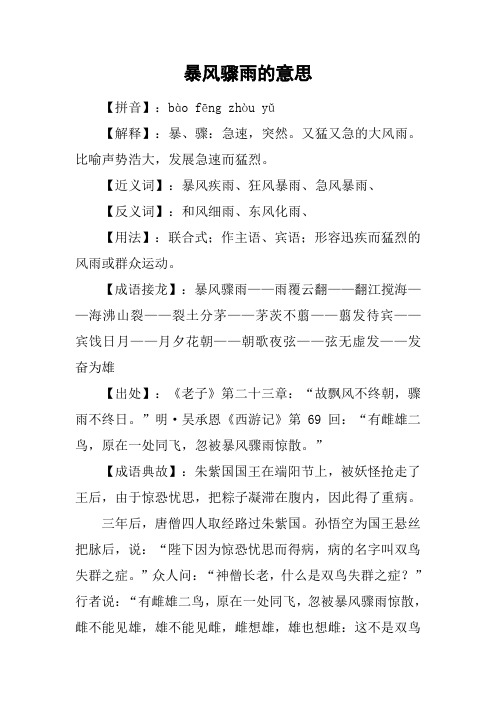 暴风骤雨的意思