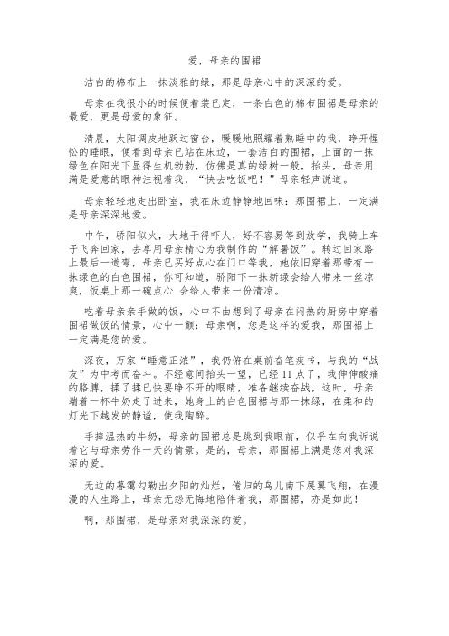 作文,爱 母亲的围裙