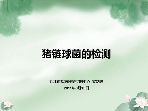 猪链球菌的检测PPT课件