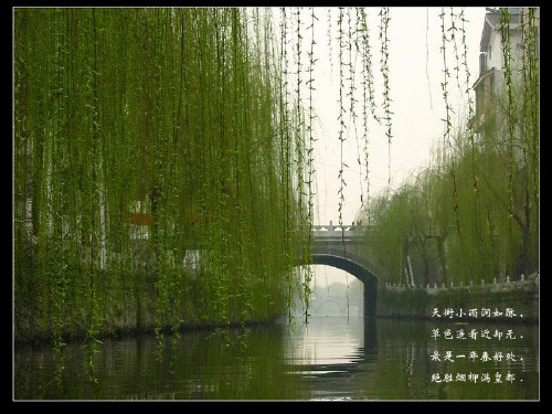 《大自然的语言》ppt课件(43页)