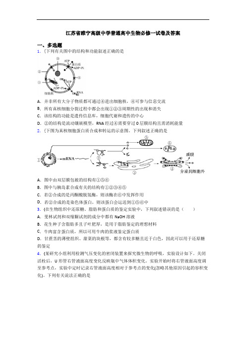 江苏省睢宁高级中学普通高中生物必修一试卷及答案