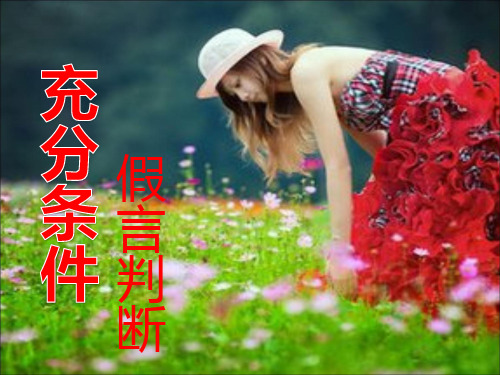 充分条件假言判断