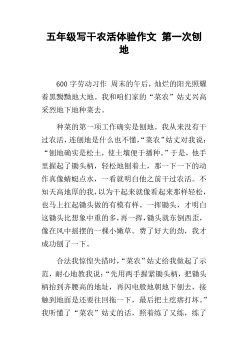 五年级写干农活体验作文第一次刨地