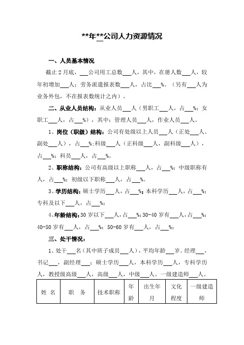 人力资源情况分析-模板