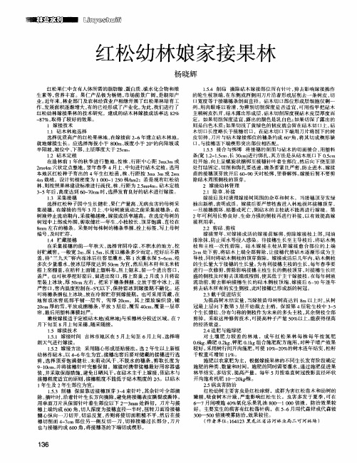 红松幼林娘家接果林