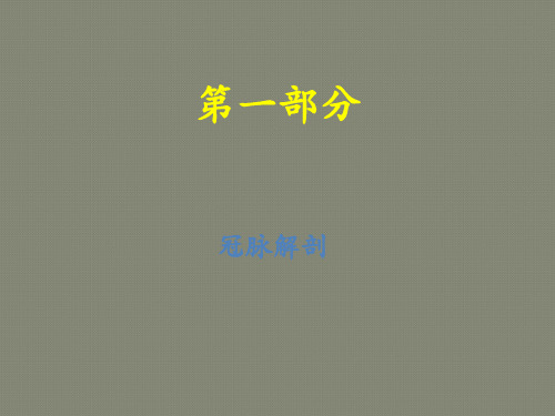 冠脉造影基础