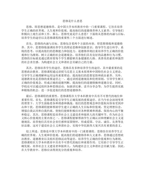 思修是什么意思