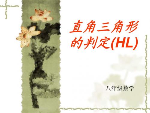 直角三角形全等判定(HL)