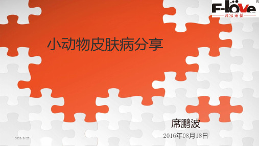 宠物皮肤病分享ppt课件