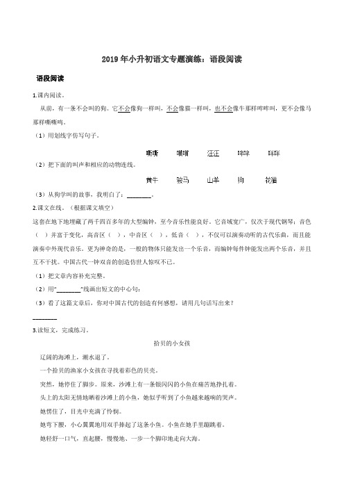 2019年小升初语文专题演练：语段阅读一 全国通用(含答案)