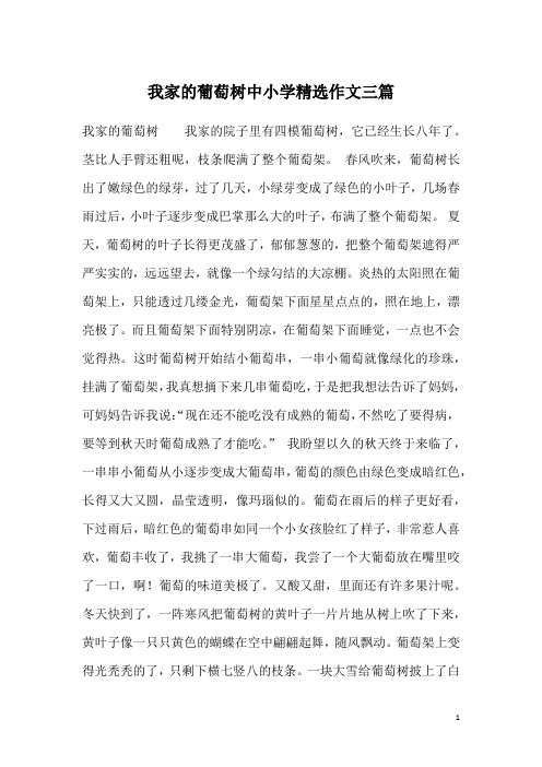 我家的葡萄树中小学精选作文三篇
