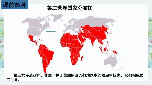 人教部编版九年级历史下册课件：第19课 亚非拉国家的新发展(共24张PPT)