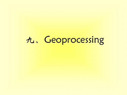 十、Geoprocessing