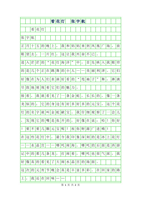 年小学生优秀写景作文-看花灯 张宇航