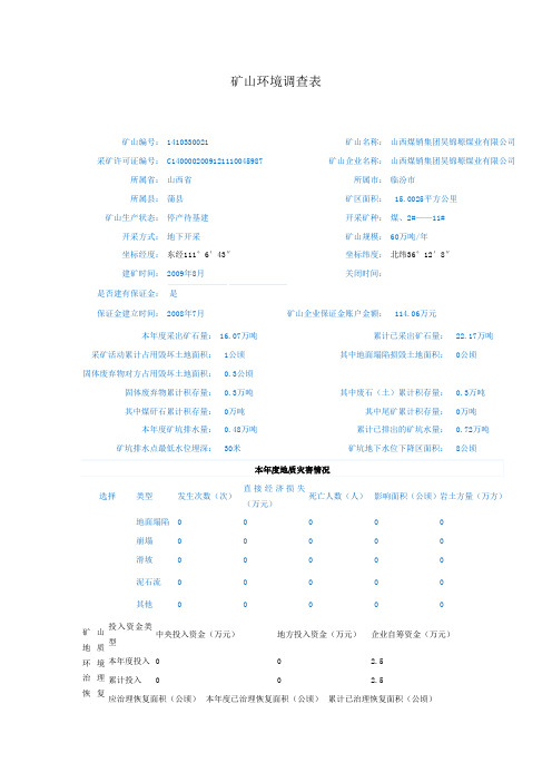矿山环境调查表
