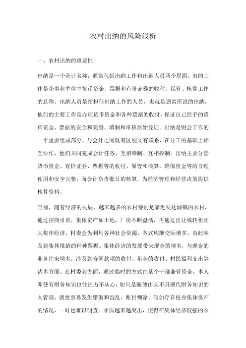 农村出纳的风险浅析