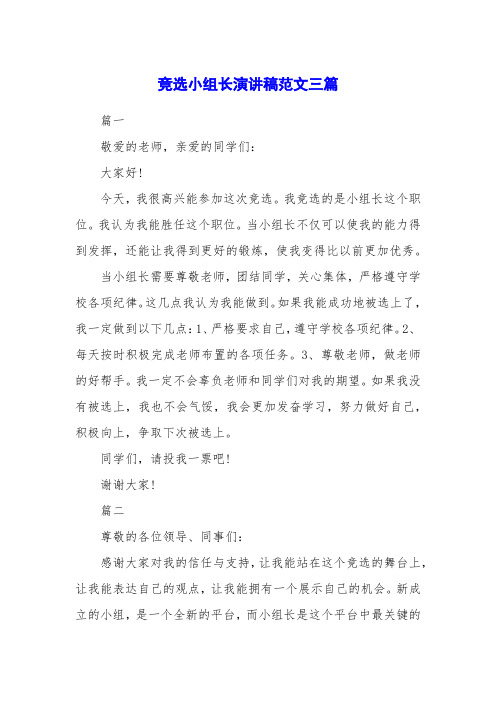 竞选小组长演讲稿范文三篇