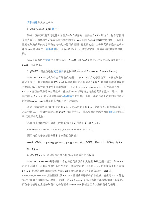 真核细胞常见的表达载体及真核细胞表达外源基因的调控