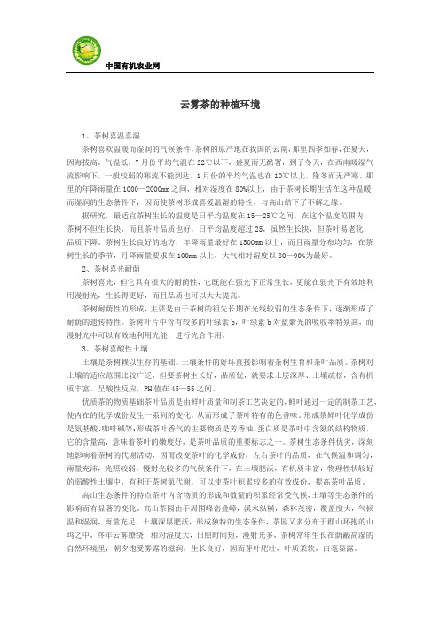 云雾茶的种植环境
