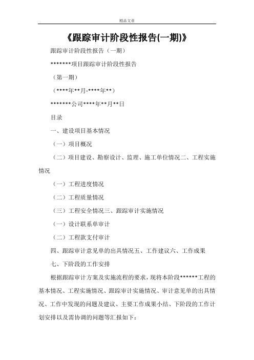 《跟踪审计阶段性报告(一期)》