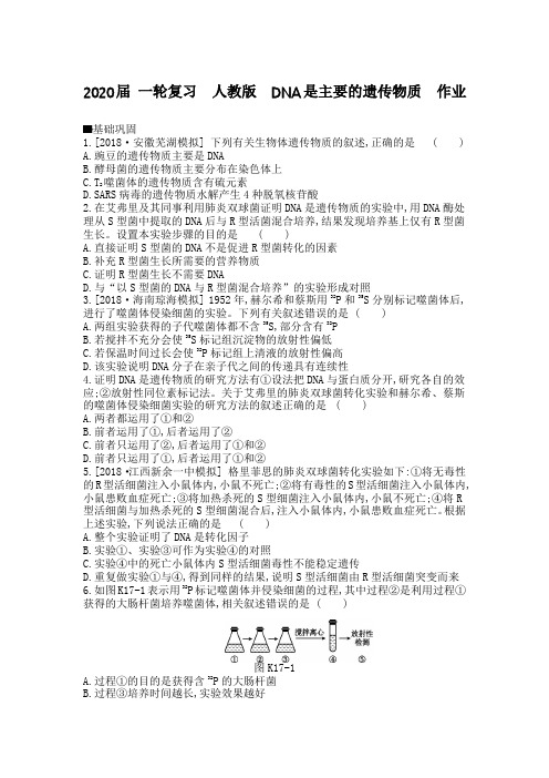 2020年高考 一轮复习  人教版  DNA是主要的遗传物质  作业.doc