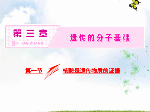 高中生物浙科版(浙江专版)必修二课件：第三章 第一节 核酸是遗传物质的证据