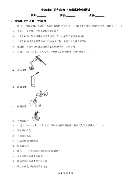 庆阳市环县九年级上学期期中化学试