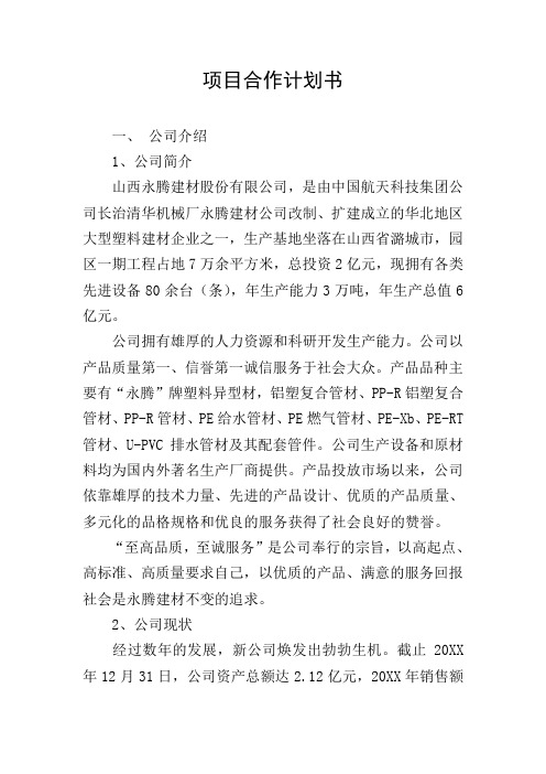项目合作计划书