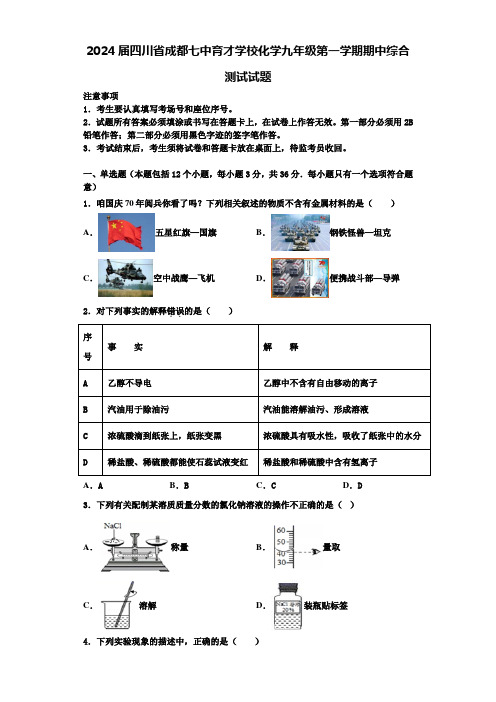 2024届四川省成都七中育才学校化学九年级第一学期期中综合测试试题含解析