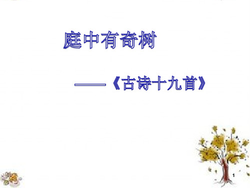 庭中有奇树ppt课件