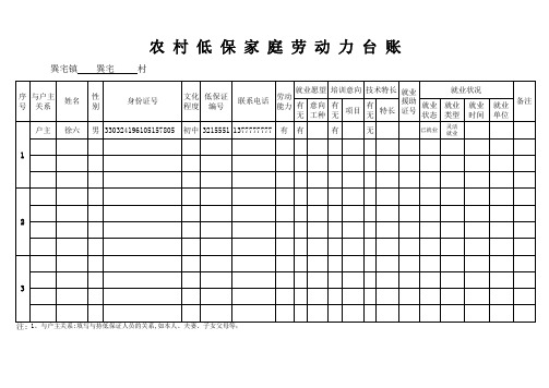 农村低保家庭劳动力台账