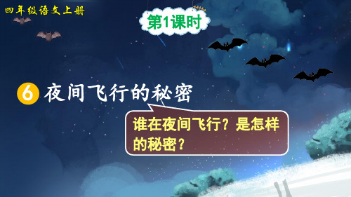 部编人教版四年级语文上册第6课《夜间飞行的秘密》优质课件(共160张PPT)