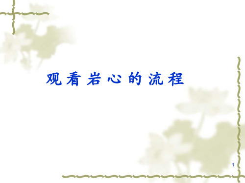 观看岩心的流程ppt课件