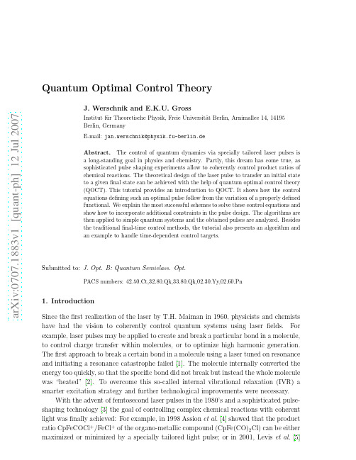Quantum Optimal Control Theory
