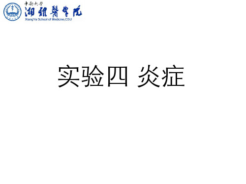 病理学(3.4)--实习四炎症