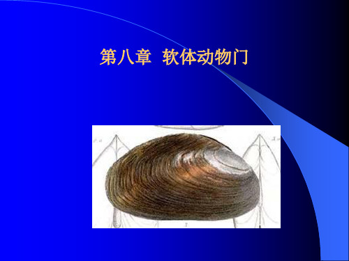 软体动物门