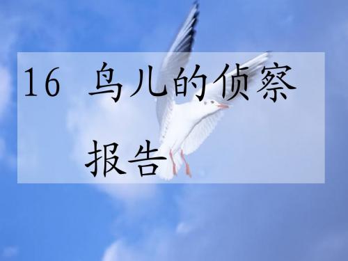 16 鸟儿的侦察报告_课件