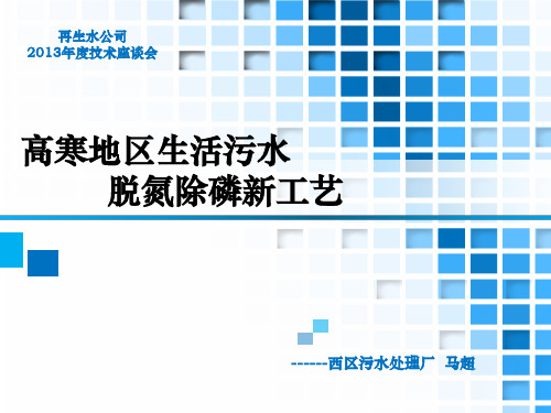 高寒地区生活污水脱氮除磷新工艺