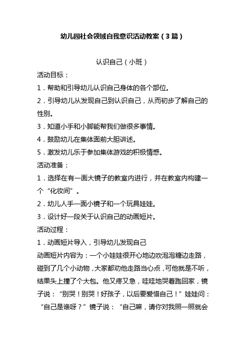 幼儿园社会领域自我意识活动教案(3篇)
