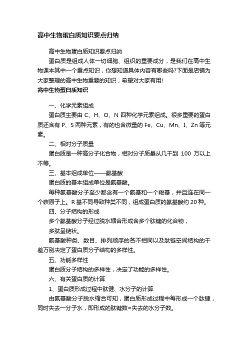 高中生物蛋白质知识要点归纳