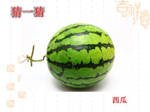 二年级语文(苏教版)上册17灯笼果课件(1)