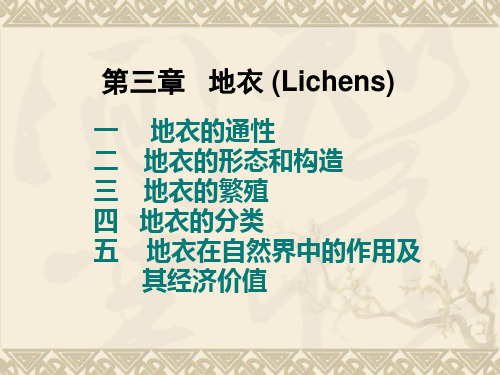 第三章地衣