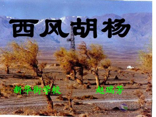 小语文S版五上《西风胡杨》PPT课件