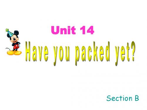 新目标九年级英语Unit 14 Have you packed yet Sectin B