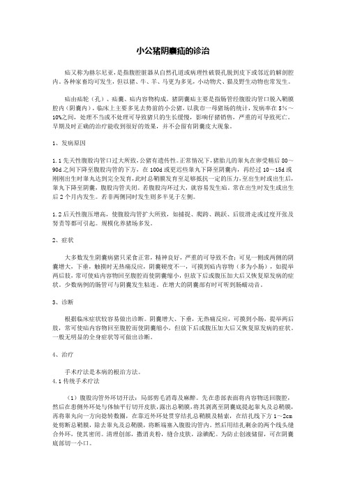 公猪阴囊疝