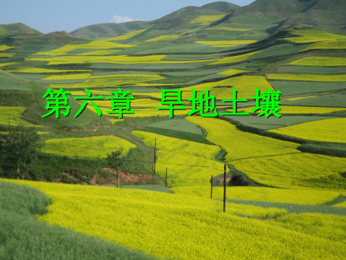 土壤肥料[第六章]