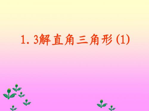 1.3 解直角三角形(1)