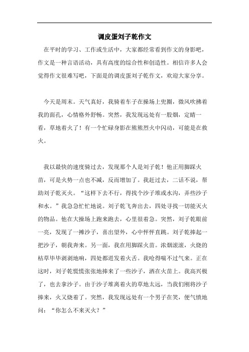 调皮蛋刘子乾作文