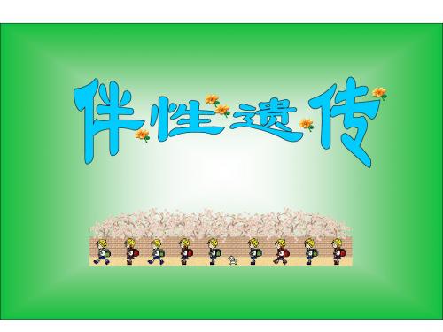 (2019版)高一生物伴性遗传1(1)